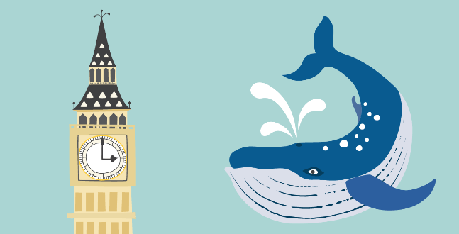 spot-illustrations of blue whale and big ben