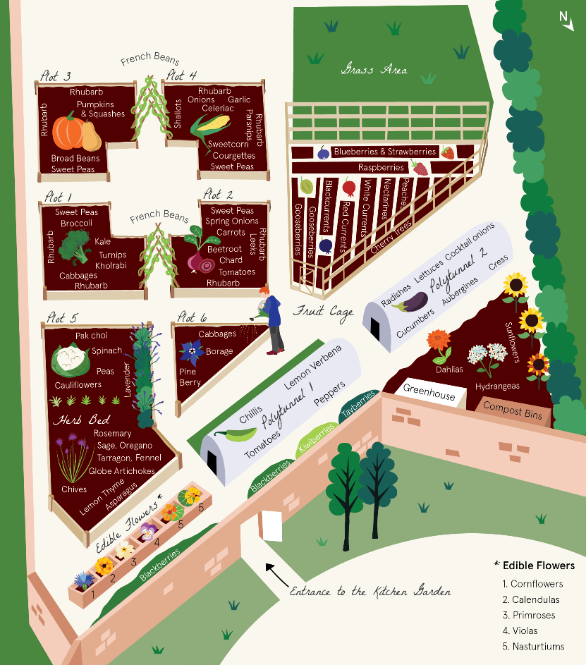 Illustrated kitchen garden map