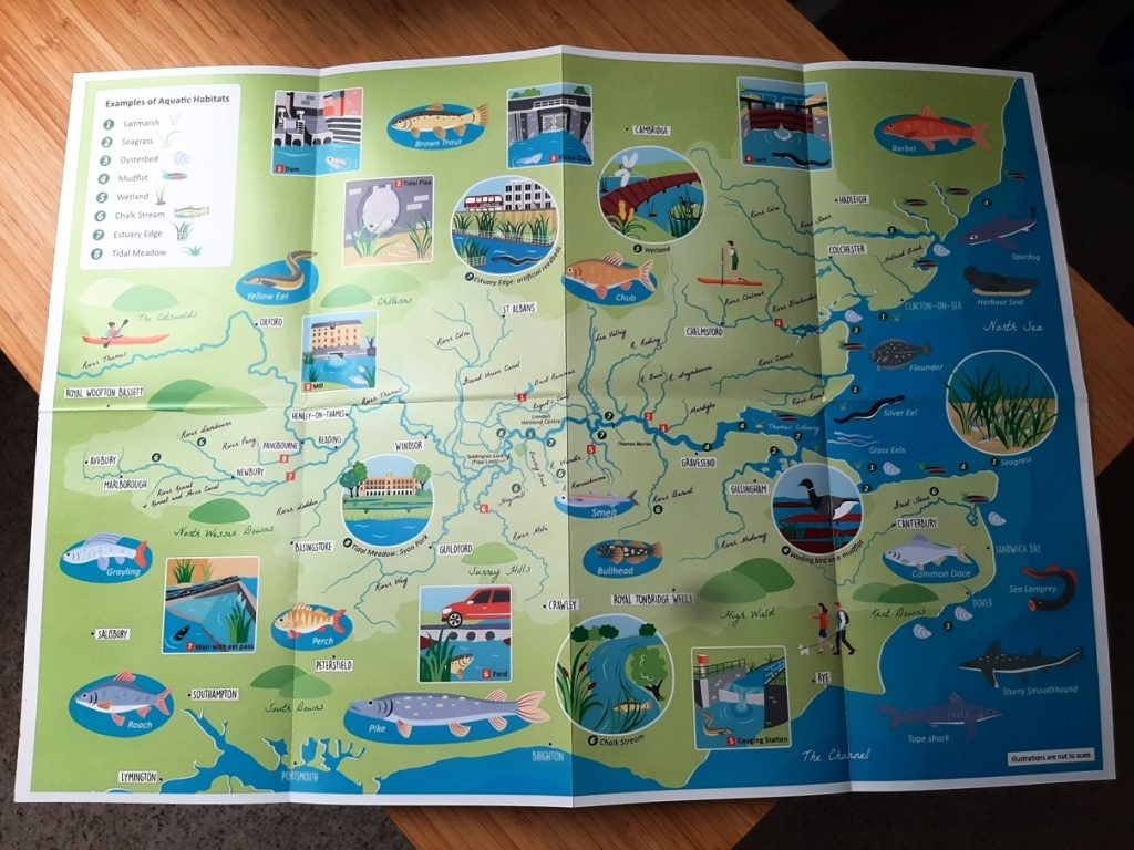 Fish migration map leaflet