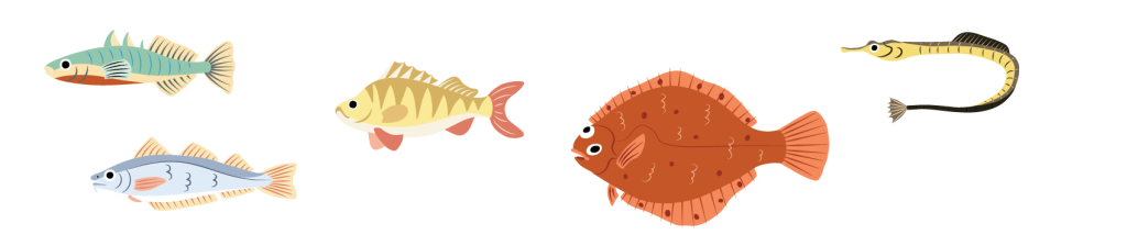 illustrated Fish species