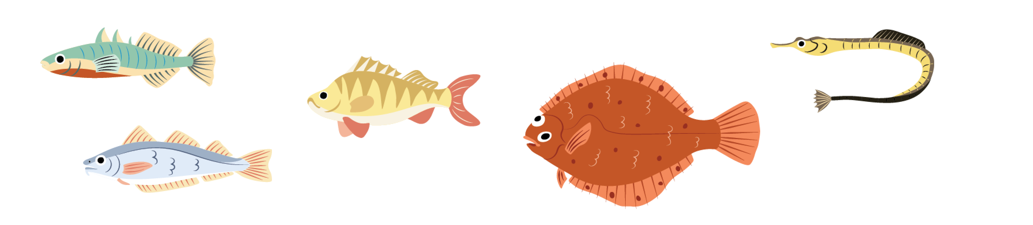illustrated Fish species