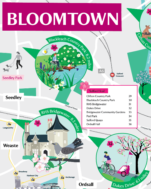 Bloomtown map 2024