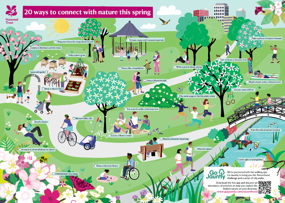 20 ways to connect with nature, blossomwatch
